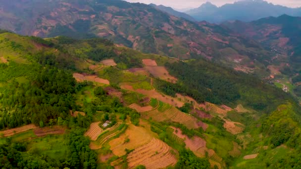 Fattorie Riso Sparsi Tutte Montagne Nebbiose Valli Del Vietnam Del — Video Stock