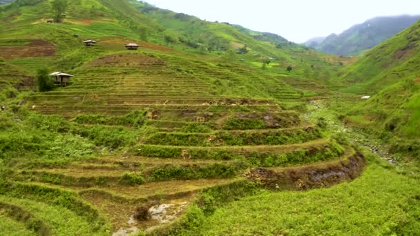 在越南北部的一个巨大的山谷里 数百个茂盛的绿色稻田 空中平底锅在增加高度的同时离开 — 图库视频影像