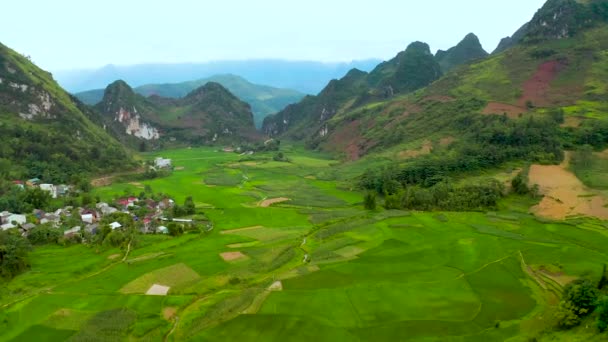 Rigogliose Risaie Verdi Circondano Piccoli Villaggi Nelle Montagne Nebbiose Del — Video Stock