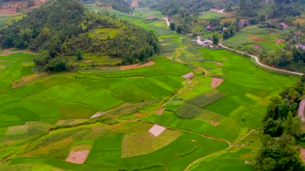 Des Rizières Vertes Luxuriantes Nichées Dans Une Vallée Col Leng — Video