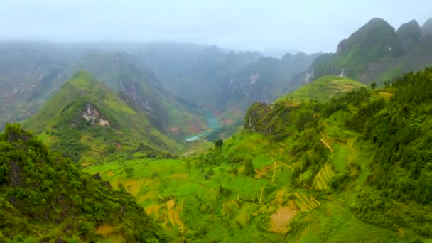 Luftaufnahme Des Herrlichen Flusses Nho Que Mit Seinem Türkisblauen Grünen — Stockvideo
