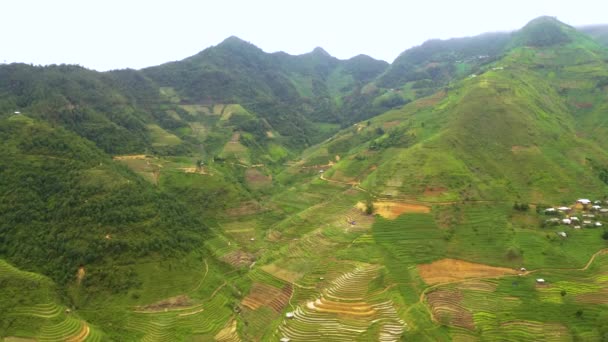 Masivo Valle Lleno Exuberantes Terrazas Arroz Verde Norte Vietnam Aerial — Vídeos de Stock