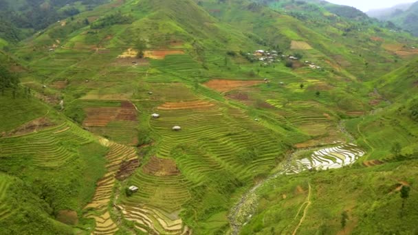 Огромная Долина Полная Пышных Зеленых Рисовых Террас Севере Вьетнама Воздушная — стоковое видео