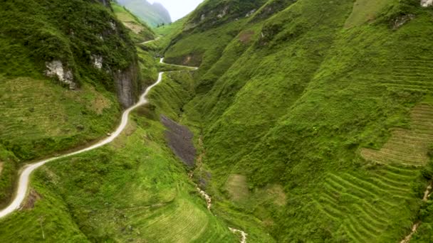 美丽的蜿蜒的道路被雕刻成美丽的绿油油的山谷 位于越南北部的马皮岭山口 空中多利向上倾斜向下 — 图库视频影像