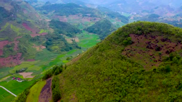 空中射击环绕山顶 繁茂生机勃勃的稻田在下面 一条路穿过一个小村子 Giang Vietnam — 图库视频影像