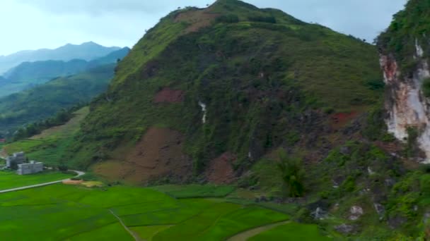 Panera Aérea Izquierda Revelando Exuberantes Granjas Arroz Ubicado Valle Brumoso — Vídeo de stock