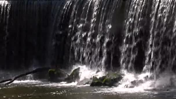 Statický Pohled Člověkem Vytvořený Vodopád Jemně Padající Skály Stromy Parku — Stock video