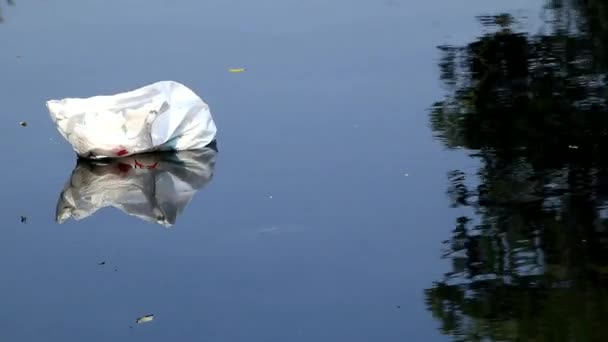 Річка Забруднена Фабричними Побутовими Відходами Дуже Темно Чорна Повна Пластикових — стокове відео