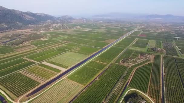 Repülés Mezőgazdasági Területen Neretva Folyó Delta Horvátországban Légi Felvétel — Stock videók