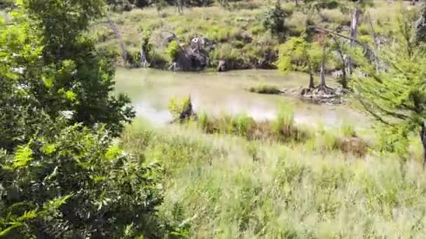 들판의 날면서 의나무를 강으로 좌회전을 위에서 블랑코 윔블던 — 비디오