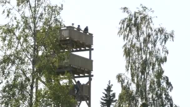 Torre Vigilancia Madera Estática Mano — Vídeos de Stock