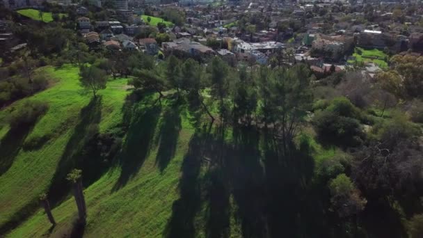 Arka Planda Los Angeles Şehir Merkezinin Silueti Olan Kentsel Doğa — Stok video