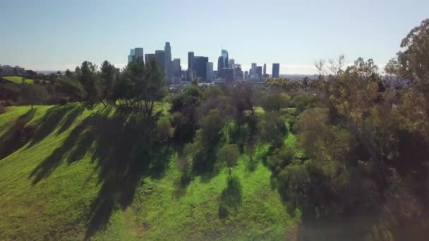 Survolez Une Colline Herbeuse Pour Découvrir Parc Urbain Centre Ville — Video