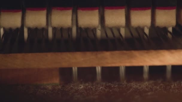 Närbild Detalj Pianosträngar Och Hammare Abstrakt Musik Video Konstnärlig Film — Stockvideo