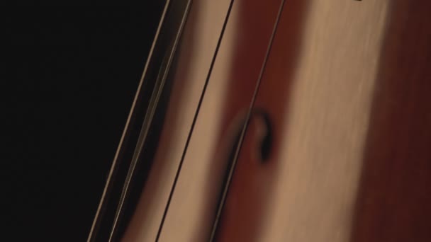 チェロ チェロの弓 チェロの演奏と弦 — ストック動画