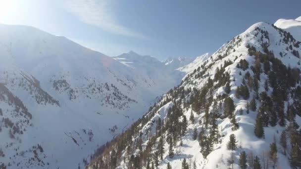 Vale Alpino Livigno Itália Sol Ilumina Encosta Íngreme Com Coníferas — Vídeo de Stock