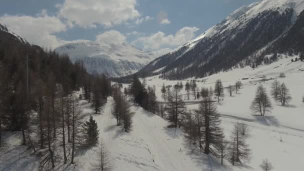 Skidtur Och Längdskidspår Livigno Italien Mot Passo Forcola Flygfoto Avslöjar — Stockvideo