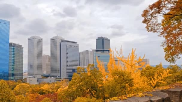 Schwenkbild Das Die Skyline Einer Stadt Mit Gelben Bäumen Vordergrund — Stockvideo