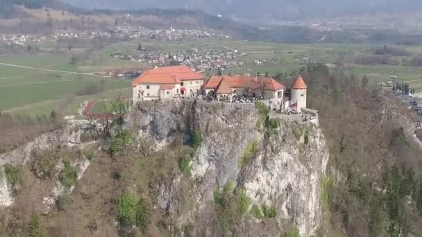 Images Aériennes Lac Bled Avec Château Bled Arrière Plan Slovénie — Video
