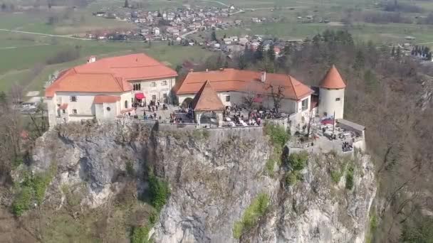 Images Aériennes Château Bled Slovénie — Video