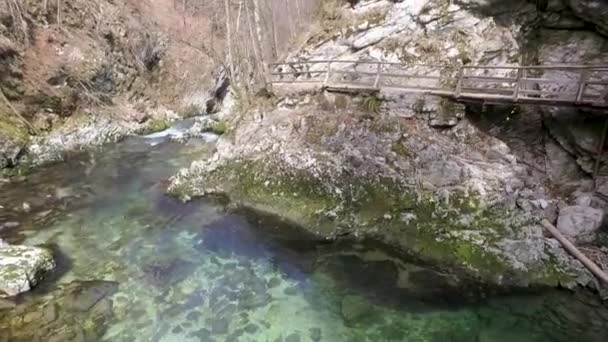 Antenne Tief Über Soteska Vintgar Schlucht Slowenien — Stockvideo