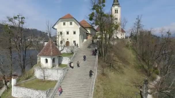 슬로베니아의 가운데에 교회가 자리잡고 상공을 비행하는 — 비디오