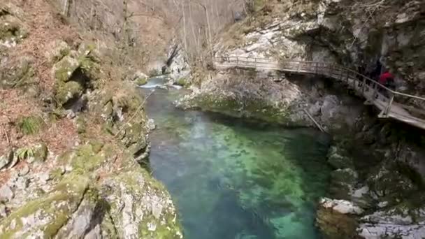 Légi Alacsonyan Repül Soteska Vintgar Felett Gorge Szlovénia — Stock videók