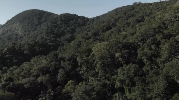 Braziliaanse Kust Dichte Regenwoud Drone Vlucht — Stockvideo
