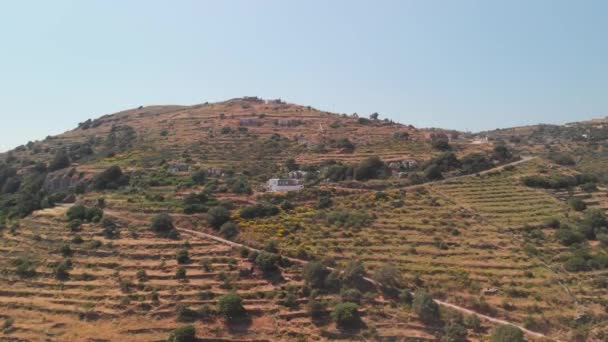 空中升起 在干燥的 到达的景色 橄榄树和房子 — 图库视频影像
