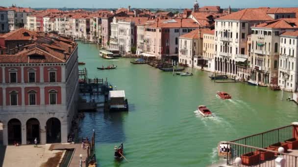 Gran Canal Canal Grande Venecia Italia Con Vistas Puente Rialto — Vídeo de stock