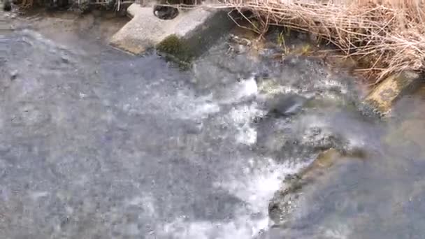 Landskapsbilde Det Rennende Vannet Liten Kanal Elv Vårsolskinn Japan – stockvideo