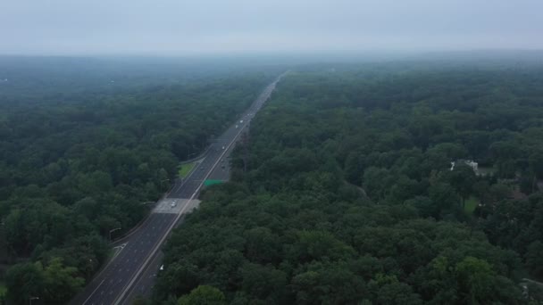 Imágenes Aéreas Viajan Sobre Los Árboles Junto Una Carretera Suburbana — Vídeos de Stock