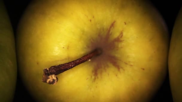 リンゴの茎を閉じてから引き返して他の2つを示し 酸化されたリンゴのセクションコアを通って戻ってきます — ストック動画