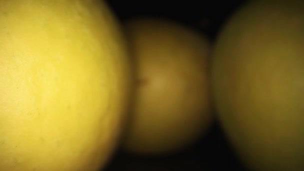 Alejándose Manzanas Una Izquierda Está Encendida Enfocada Mientras Que Otras — Vídeo de stock