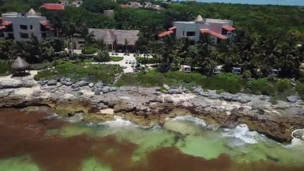 Hızlı Geri Çekilme Karayip Deniz Kıyısı Havası Xcaret Meksika Daki — Stok video