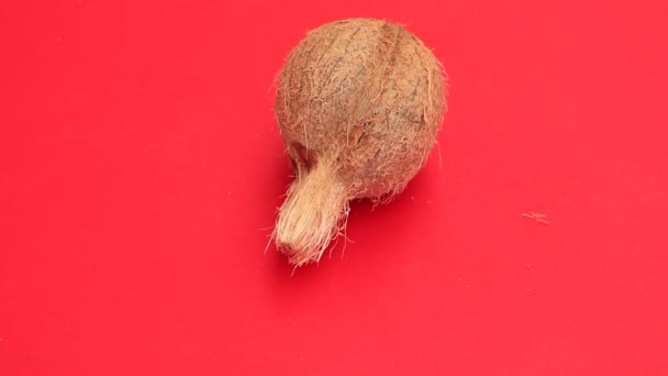 Eine Ganze Kokosnuss Auf Rotem Hintergrund Ansicht Von Oben Kopie — Stockvideo