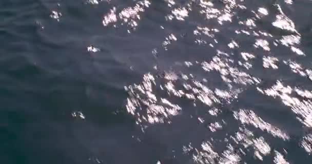 Spiegelung Der Meeresoberfläche Beim Segeln — Stockvideo