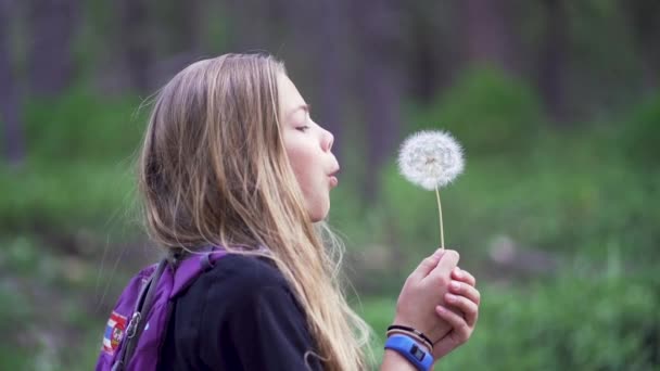 슬로우 Side Profile Rack Focus Young Blonde Girl Blows Dandelion — 비디오