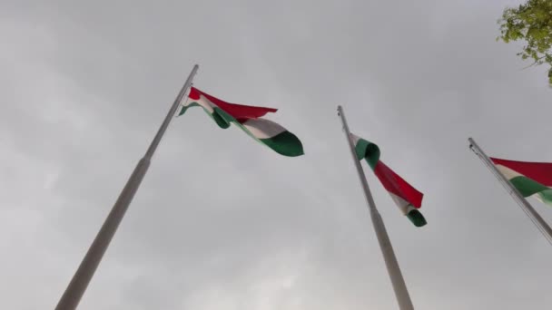Drei Ungarische Flaggen Fahnenmasten Wehen Wind Mit Gewitterwolken Hintergrund 120 — Stockvideo