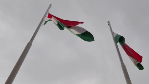 Banderas Húngaras Ondeando Sobre Asta Bandera Con Nubes Oscuras Fondo — Vídeo de stock