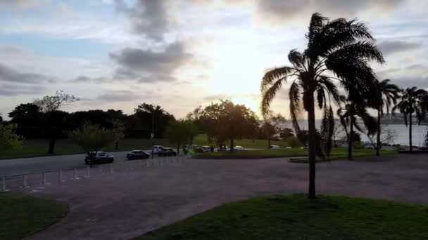 Video Aéreo Que Mueve Directamente Través Del Parque Entre Una — Vídeo de stock