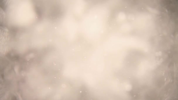 Занурений Блендер Наповнений Подрібненими Кубиками Льоду Водою Штовхаючи Бік Льоду — стокове відео