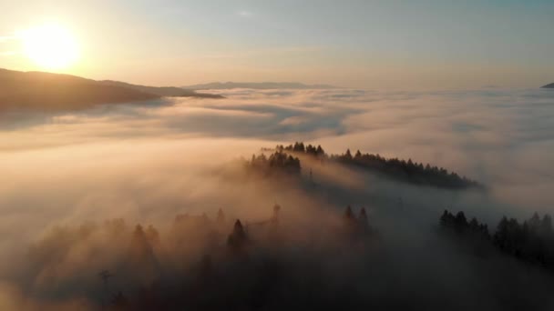 Zdjęcie Lotnicze Szczytu Góry Pokrytego Chmurami Wschodzie Słońca Złotym Światłem — Wideo stockowe