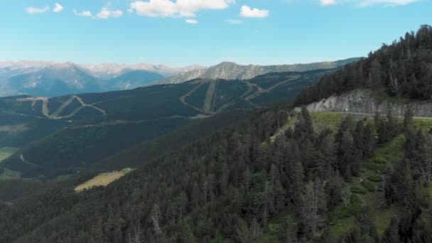 高耸在地平线上的高山高耸的树木的航拍 — 图库视频影像