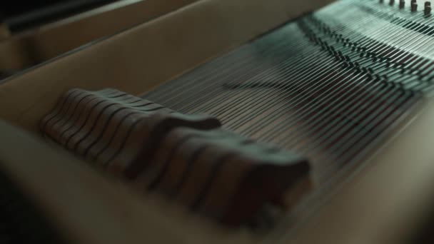 内側から録音されたピアノ 弦の演奏 — ストック動画