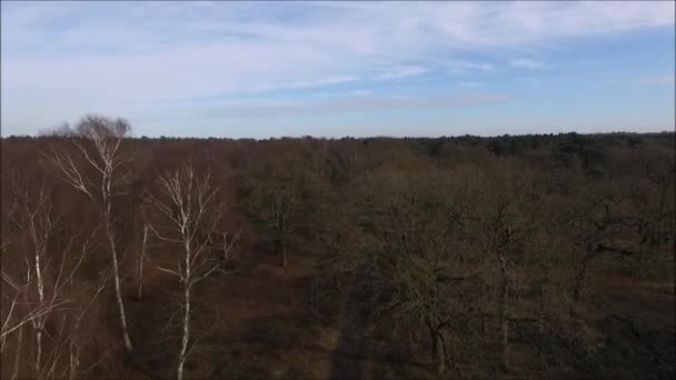 Sebuah Pesawat Tak Berawak Terbang Sekitar Salah Satu Dari Ribuan — Stok Video