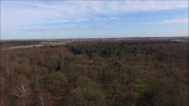 Eine Drohne Die Nur Einen Von Tausenden Wäldern Des Vereinigten — Stockvideo