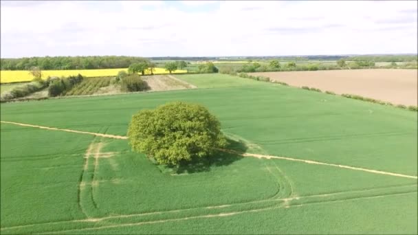 Bara Över Tiotusentals Vyer Över Den Fantastiska Brittiska Landsbygden Åtnjuter — Stockvideo