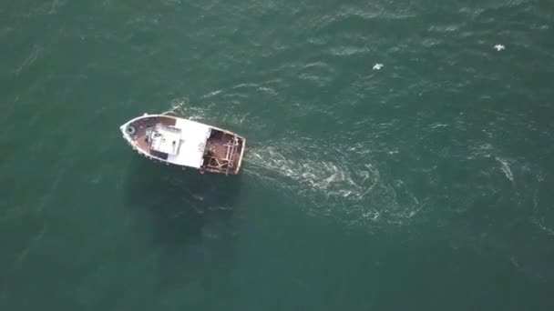 Arrastão Pesca Escocês Visto Cima Enquanto Gaivotas Voam Sua Volta — Vídeo de Stock