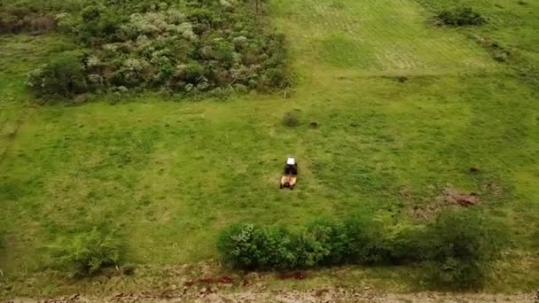 Ciągnik Poruszający Się Tyłu Przymocowanym Niego Trawnikiem Pastwisku Wieś Drzewa — Wideo stockowe